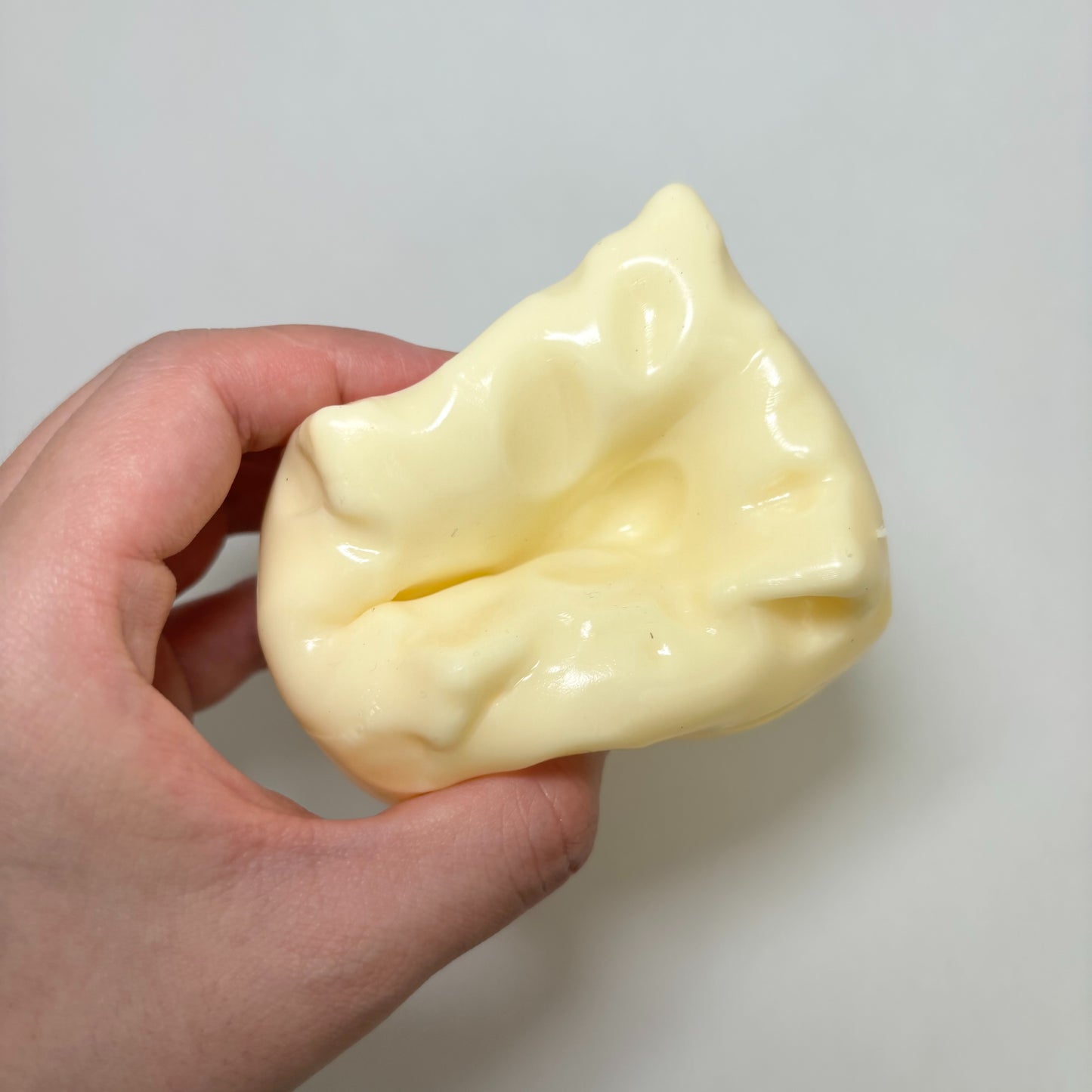 Jumbo Cheese Squishy