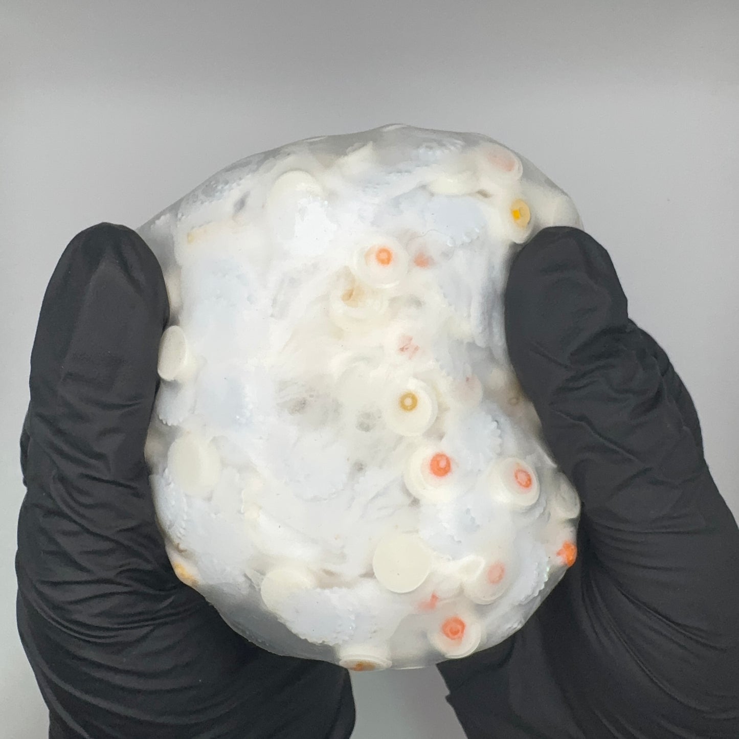 Crunchy Popping Squishy