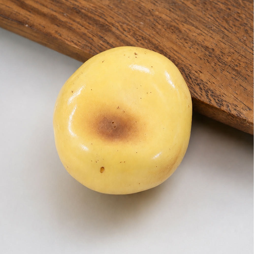 Potato Crunch Squishy