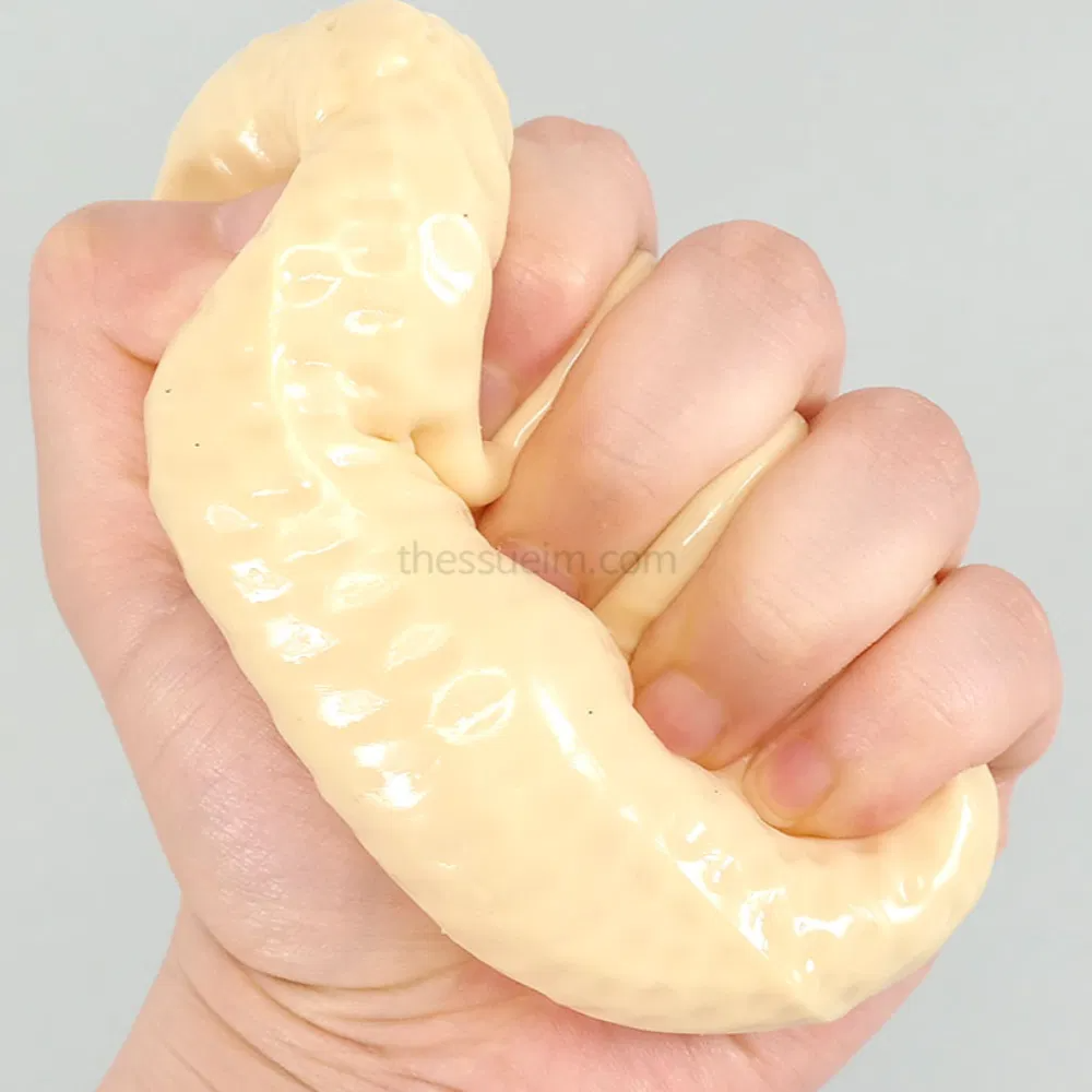 Chewy Peanut Squishy (Moldable)