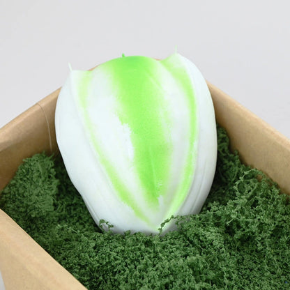 Pistachio Crunch Squishy