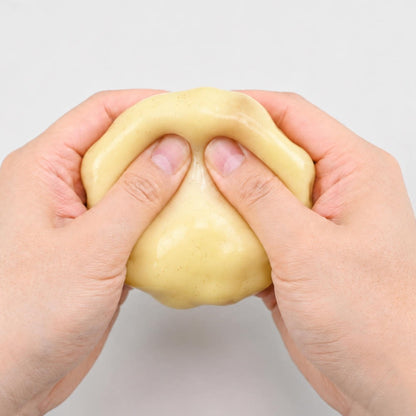 Potato Crunch Squishy
