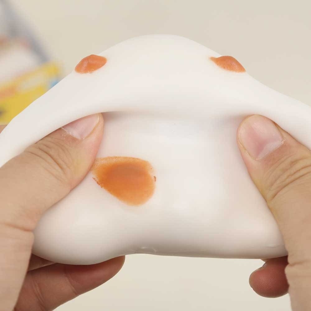 Puppy Crunch Squishy